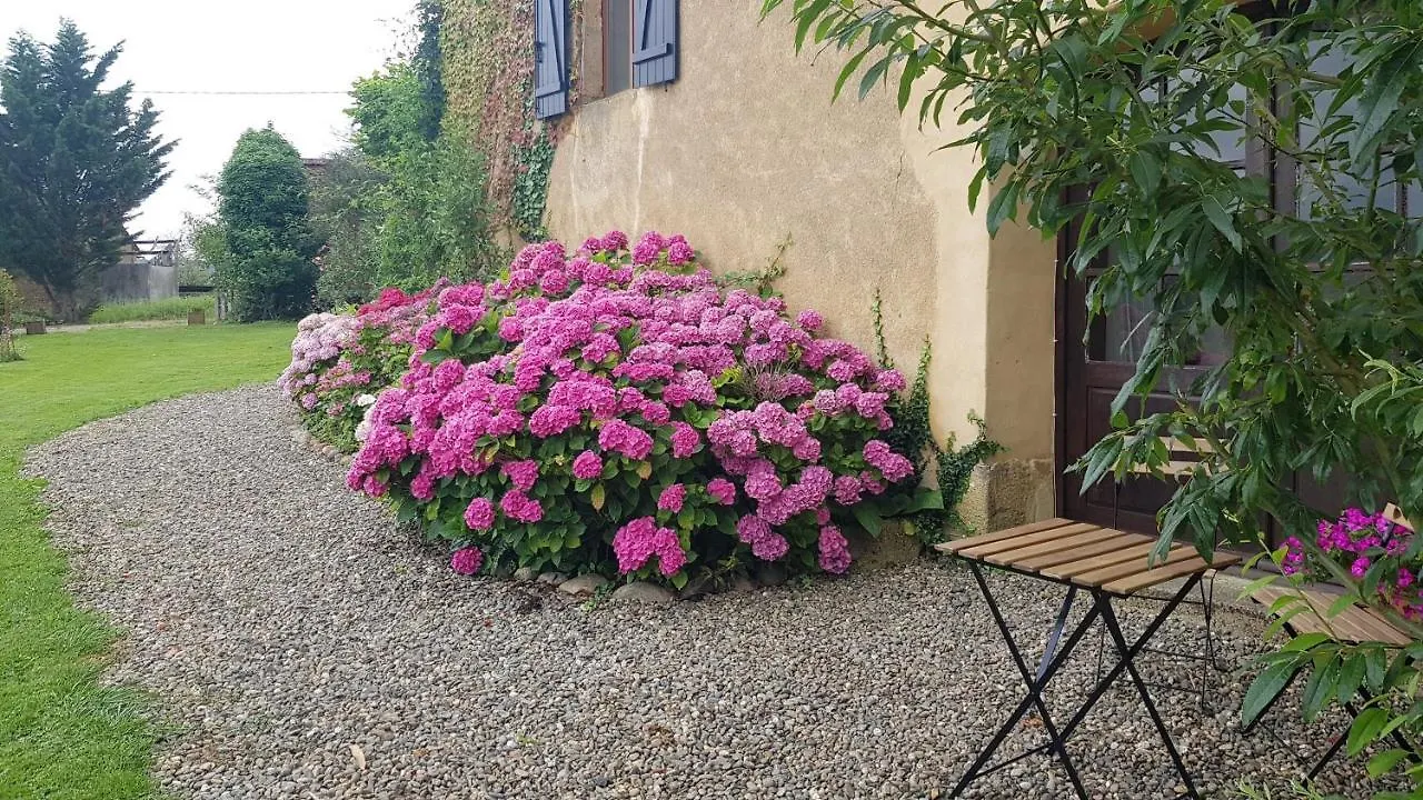 Le Peyroutet Apartment Cazaux-Villecomtal France